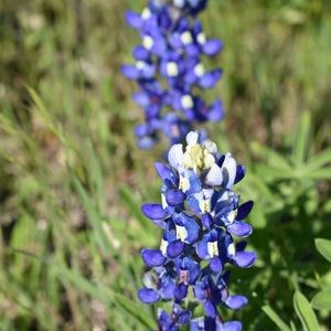 Meet your Posher, Marie